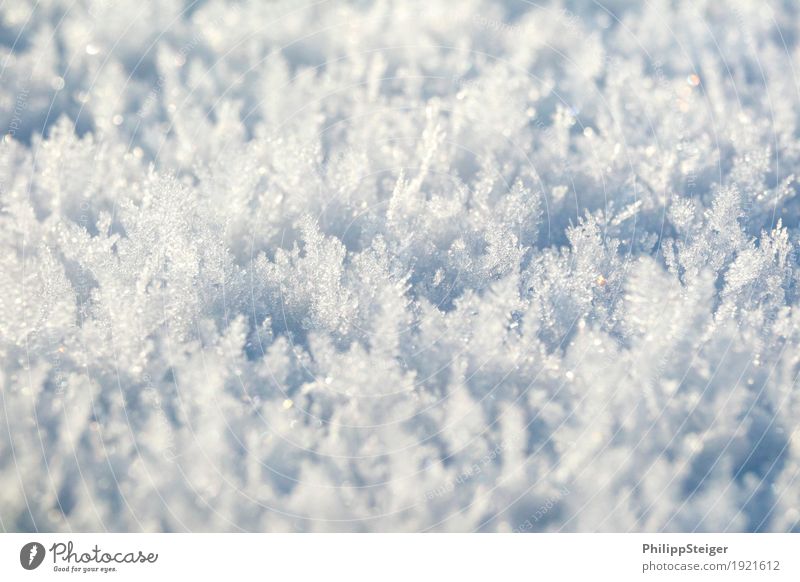 Eiskristalle Winter Natur Urelemente Wasser Frost Schnee kalt bizarr boden gefroren Farbfoto Außenaufnahme Menschenleer Textfreiraum oben Textfreiraum unten