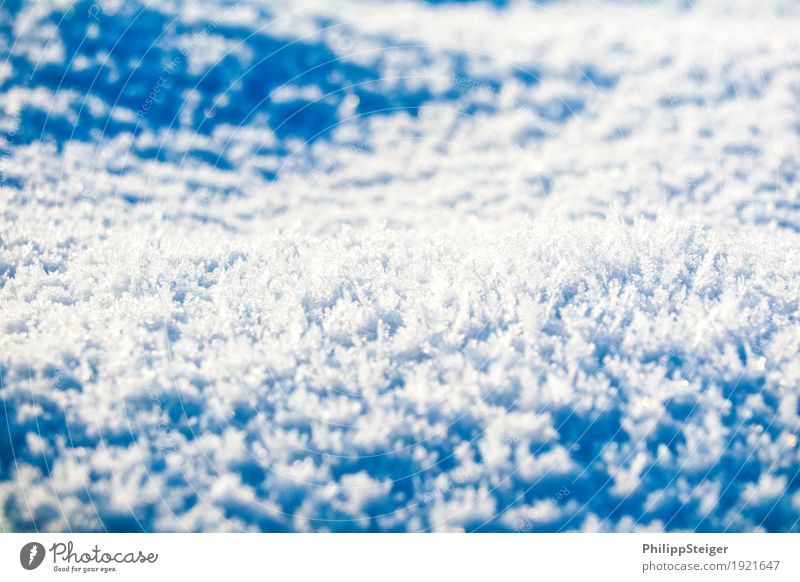 Eiskristalle auf dem Boden Winter Umwelt Natur Urelemente Wasser Frost Schnee kalt bizarr gefroren Pfütze Farbfoto Außenaufnahme Menschenleer Textfreiraum unten