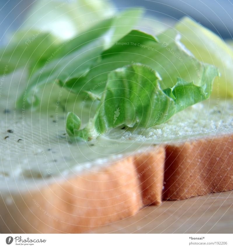making of Salat Salatbeilage Brot Remoulade einfach frisch lecker Geschwindigkeit braun grün weiß Appetit & Hunger genießen Leichtigkeit Weißbrot Belegtes Brot