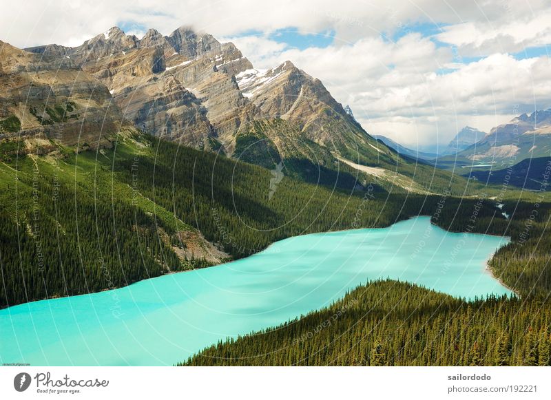 Peyto Lake - Banff Nationalpark - Kanada Umwelt Natur Landschaft Wasser Wolken Felsen Berge u. Gebirge Rocky Mountains Seeufer blau grün träumen Sehnsucht