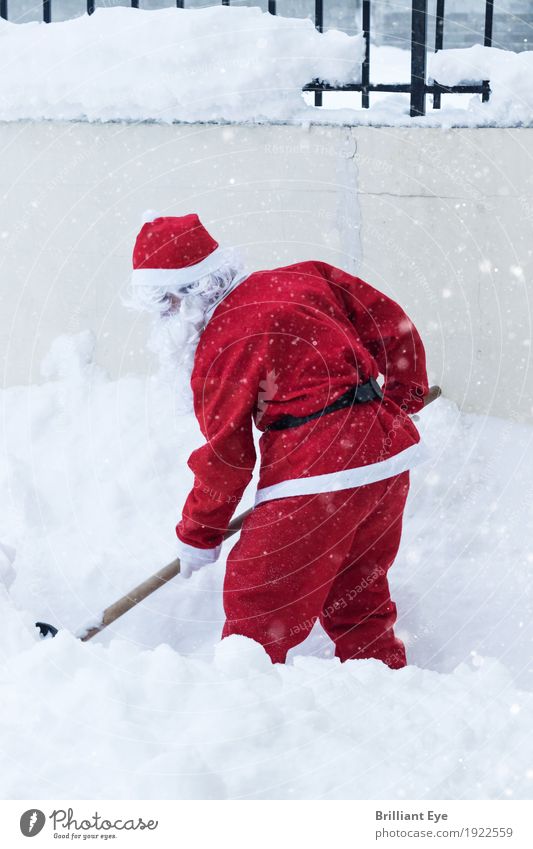 Winterdienst Lifestyle Schnee Weihnachten & Advent Arbeit & Erwerbstätigkeit Mensch maskulin 1 Natur Schneefall Garten außergewöhnlich rot Tatkraft fleißig