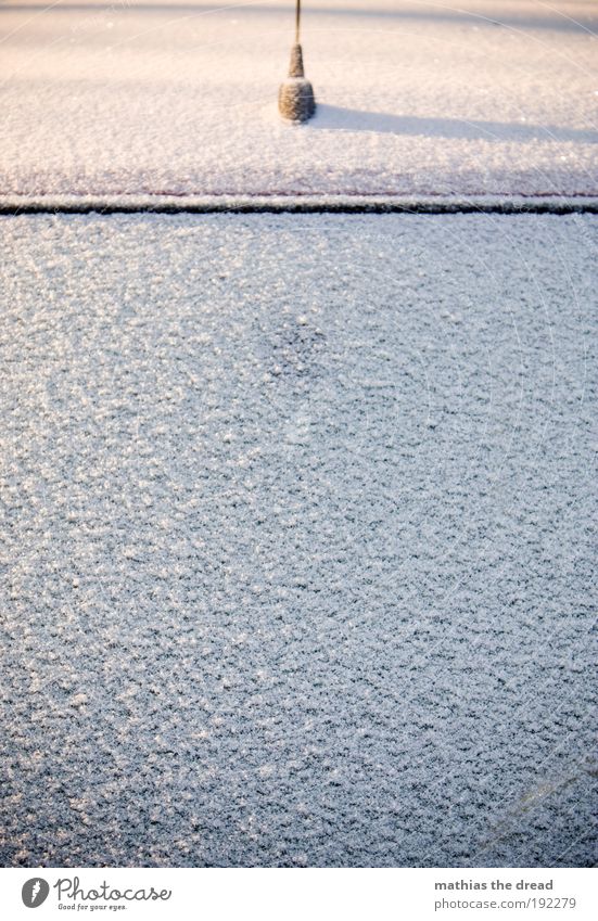 BITTE KRATZEN Winter Eis Frost Schnee Verkehr Autofahren PKW kalt Windschutzscheibe Morgen eiskratzen schrecklich minimalistisch Autofenster normal Farbfoto