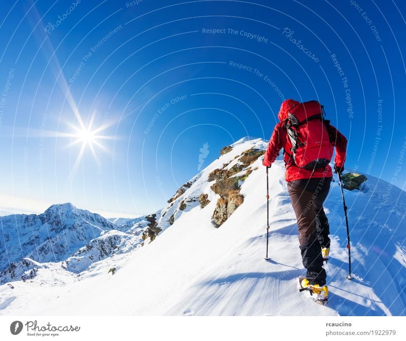 Bergsteiger an der Spitze einer schneebedeckten Spitze in den Alpen. Ferien & Urlaub & Reisen Abenteuer Expedition Winter Schnee Berge u. Gebirge wandern Sport