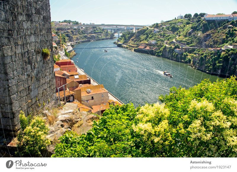 Douro Umwelt Natur Landschaft Himmel Wolkenloser Himmel Horizont Sommer Wetter Schönes Wetter Pflanze Baum Sträucher Hügel Wellen Flussufer Porto Portugal Stadt