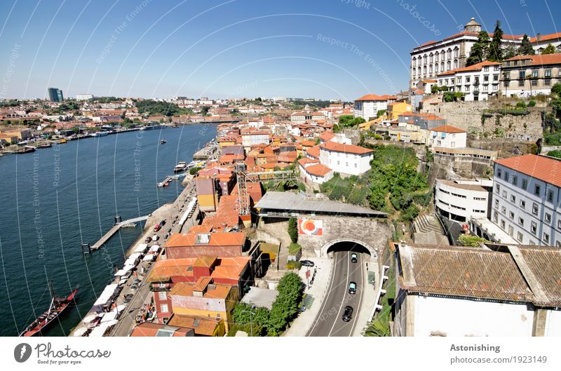 Stadt am Fluss Umwelt Natur Wasser Himmel Wolkenloser Himmel Horizont Sommer Wetter Schönes Wetter Wärme Pflanze Baum Sträucher Flussufer Douro Porto Portugal