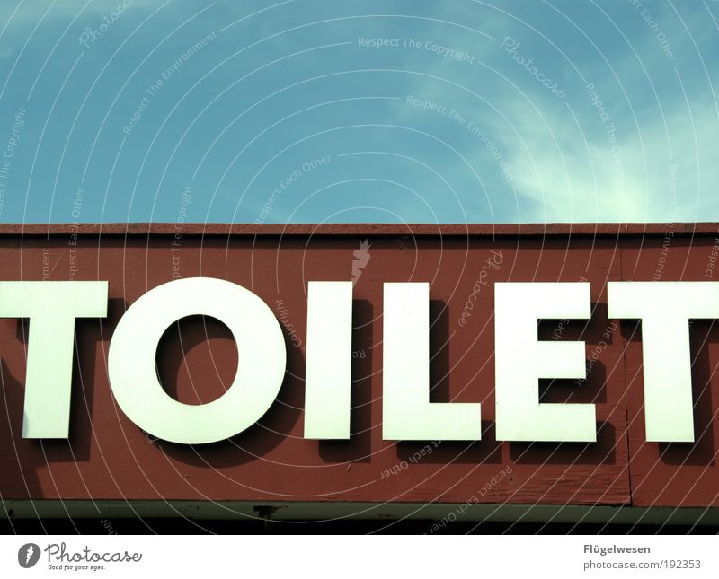 Du hast das Ziehen vergessen, mein Michael! Toilette Sanitäranlagen Farbfoto Außenaufnahme Tag Hinweisschild Typographie Englisch Schriftzeichen