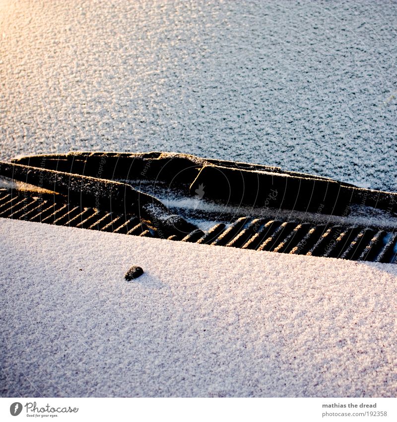 AN JEDEM VEDAMMTEN MORGEN Winter Eis Frost Schnee Autofahren Fahrzeug PKW kalt Windschutzscheibe Scheibenwischer Lüftungsschlitz Motorhaube kratzen bedeckt