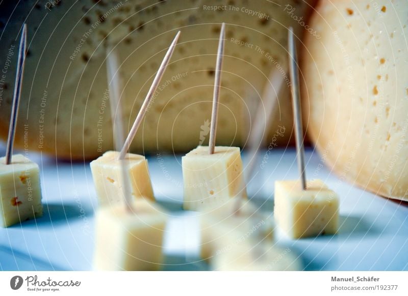 Käsehäppchen Käselaib Teile u. Stücke Würfel Speise käseigel Anschnitt Gesundheit Milcherzeugnisse Ernährung Lebensmittel casein Gouda Vegetarische Ernährung