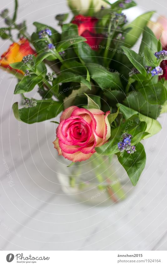 Willkommen Frühling Blumen Pflanzen Liebe Geschenk Freundschaft Vase Rose Rosen Vergißmeinnicht grün rosa blau Holz Holzboden weiß Blumenstrauß Natur