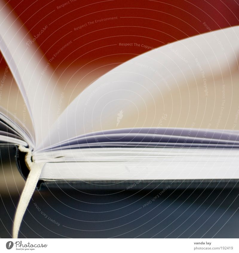 Leselust Kunst Buch Bibliothek Weisheit klug Wissen Lesezeichen blatt Papier Buchseite Farbfoto Menschenleer Textfreiraum oben Textfreiraum unten Unschärfe