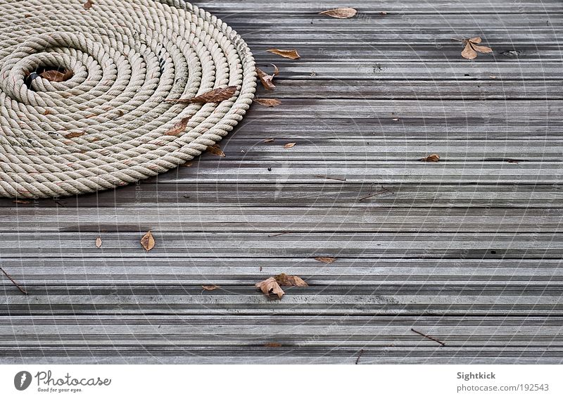 Das Seil Herbst Blatt Terrasse Garten Schnecke Holz Knoten liegen Tauziehen rund braun grau Stimmung ruhig aufgerollt Rolle Farbfoto Außenaufnahme