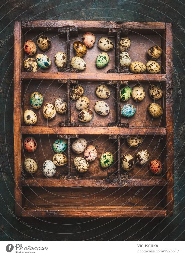 Holzkiste mit bunten Eiern für Ostern Stil Design Freude Häusliches Leben Dekoration & Verzierung Feste & Feiern Natur Religion & Glaube Tradition altehrwürdig