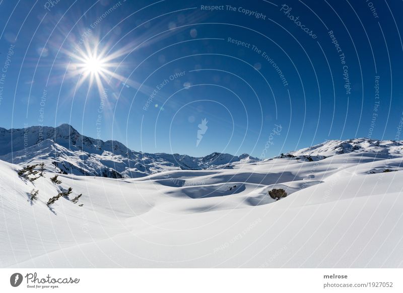 Winterwanderung I Schnee Winterurlaub Berge u. Gebirge wandern Natur Landschaft Himmel Wolkenloser Himmel Sonne Sonnenlicht Felsen Sonnenkopf Muttjöchle