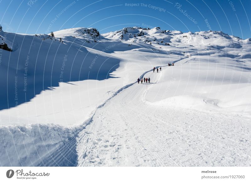 Autobahn auf 2000m Tourismus Winter Schnee Winterurlaub Berge u. Gebirge wandern Landschaft Wolkenloser Himmel Horizont Klima Schönes Wetter Felsen Klostertal