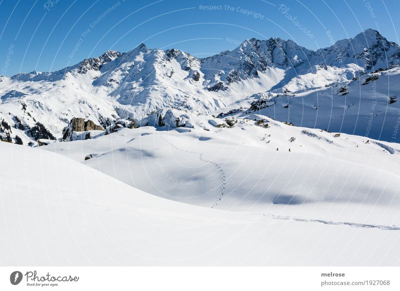 ... Spuren im Schnee ... Tourismus Winter Winterurlaub Berge u. Gebirge wandern Natur Wolkenloser Himmel Schönes Wetter Felsen Klostertal Muttjöchle Sonnenkopf