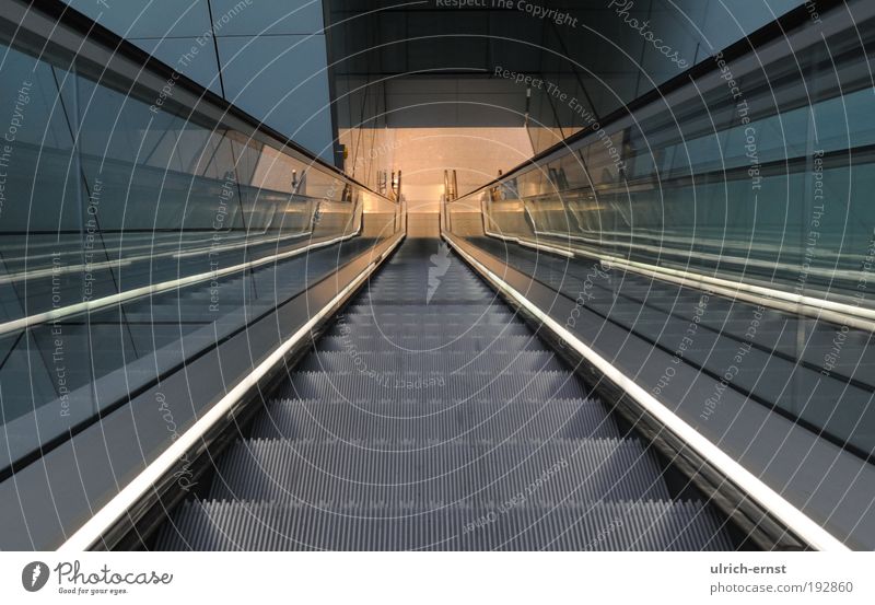 abwärts Menschenleer Bahnhof Flughafen Architektur Treppe Fußgänger Rolltreppe Bewegung laufen modern Sauberkeit ästhetisch Design elegant Fortschritt