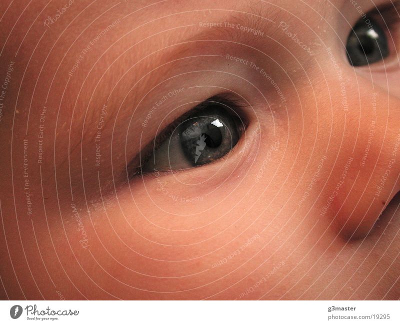 Klarer Blick Kind Reflexion & Spiegelung Porträt Augenbraue Nase Makroaufnahme Haut Gesicht Detailaufnahme feine Härchen