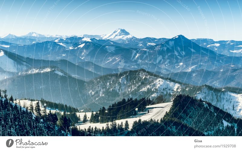 Blick vom Unterberg auf den Ötscher Skifahren Schneewandern Tourismus Ausflug Winterurlaub Berge u. Gebirge Natur Landschaft Luft Wolkenloser Himmel