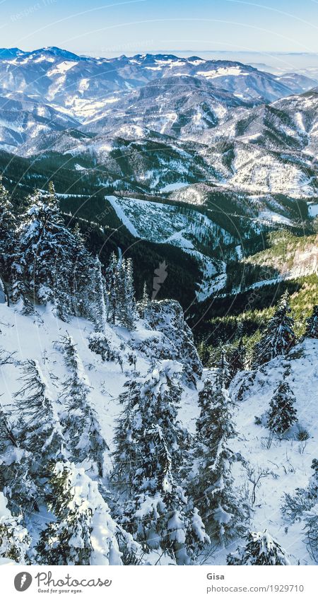Blick vom Unterberg auf das Alpenvorland Schneewandern Skifahren Tourismus Winter Landschaft Tanne Berge u. Gebirge Gipfel Schneebedeckte Gipfel Unendlichkeit