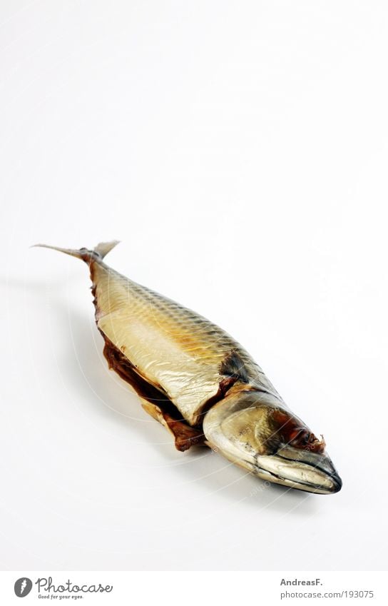 Räucherfisch Lebensmittel Fisch Ernährung Abendessen Angeln Küche Meer Makrele Fischereiwirtschaft Fischmarkt Flosse Schwanzflosse geräuchert Meerestier