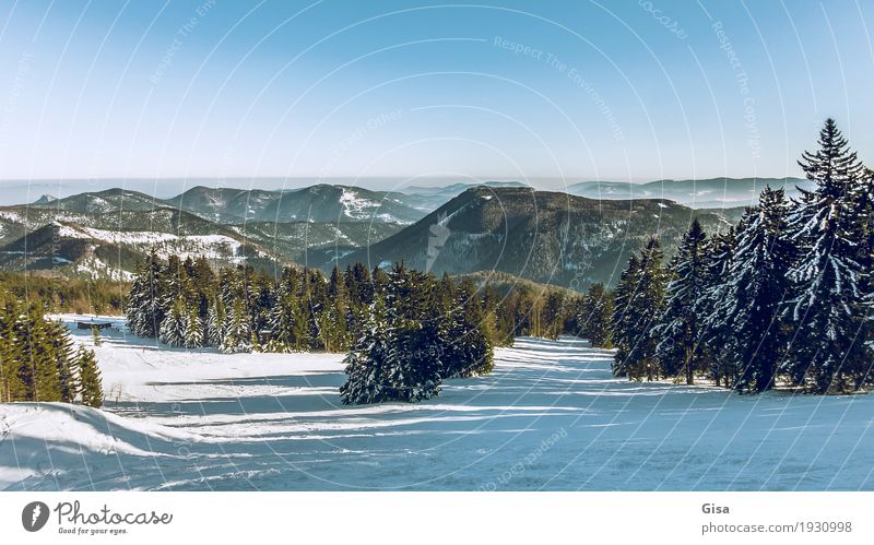 Blick vom Unterberg auf die Voralpen Schneewandern Skifahren Winter Landschaft Wolkenloser Himmel Schönes Wetter Alpen Berge u. Gebirge genießen außergewöhnlich