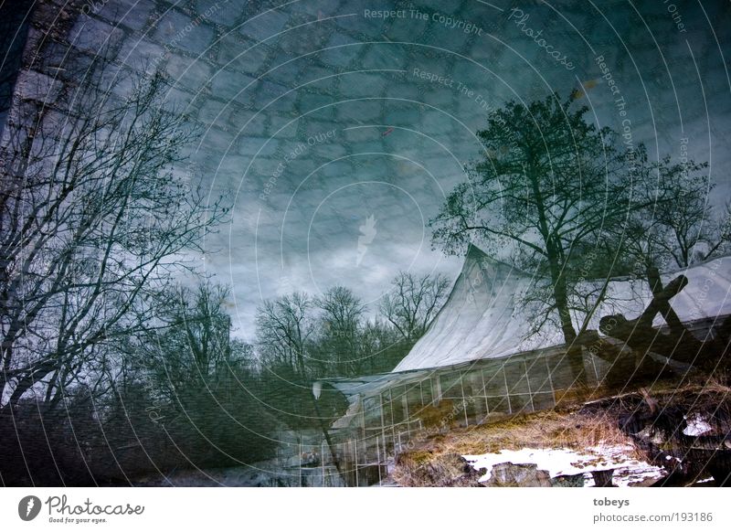 Das begrenzte Unendliche Winter Baum Park Haus Traumhaus Hütte Terrasse außergewöhnlich Surrealismus falsch Sträucher Himmel Wolken Gewitter Futurismus Weltall