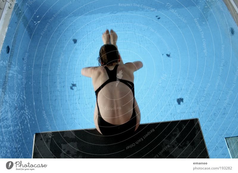 sitzsprung Lifestyle Freude Freizeit & Hobby Sport Wassersport Sportler tauchen Schwimmbad feminin Junge Frau Jugendliche Körper Rücken 18-30 Jahre Erwachsene