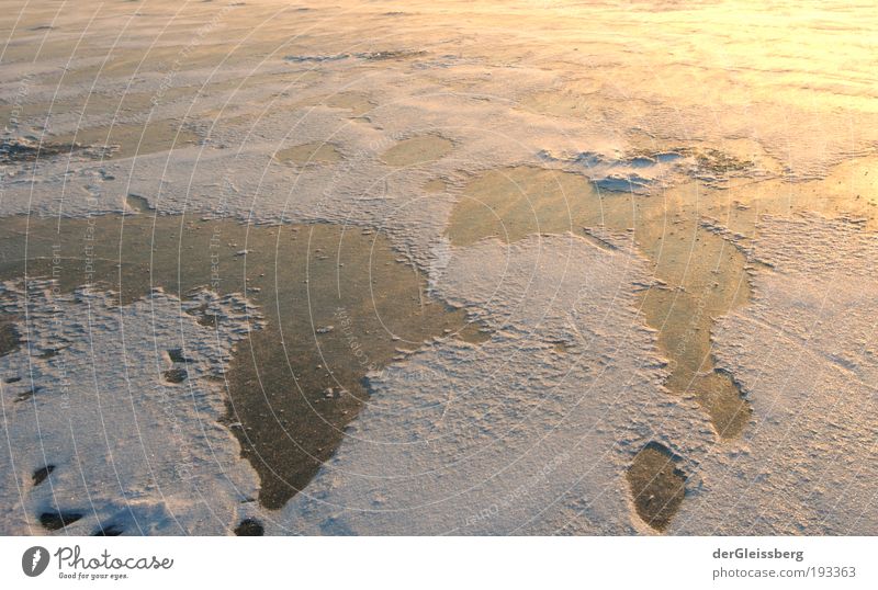 rutschige Fantasiewelt Natur Wasser Sonne Winter Eis Frost Schnee See glänzend kalt gelb gold weiß Glätte gefroren Kontinente Farbfoto Außenaufnahme