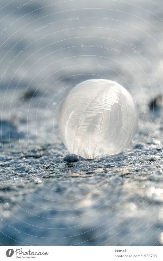 Seifenblasenkunst Umwelt Natur Urelemente Wasser Winter Eis Frost See Feder Kristalle Kugel außergewöhnlich glänzend kalt blau gefroren Experiment zierlich fein
