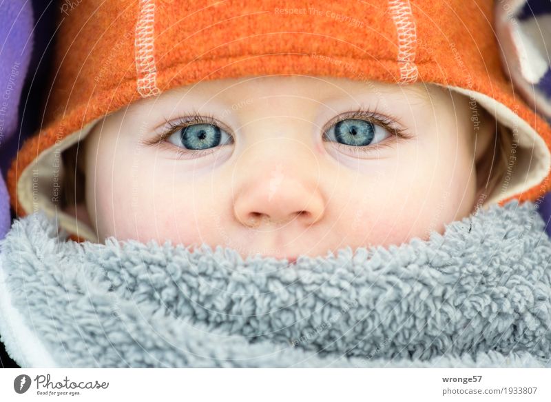Winterkind Mensch Kind Kleinkind Mädchen Gesicht 1 1-3 Jahre Blick blau grau violett orange Gesichtsausschnitt Auge Nase Kinderaugen kalt Mütze Nahaufnahme