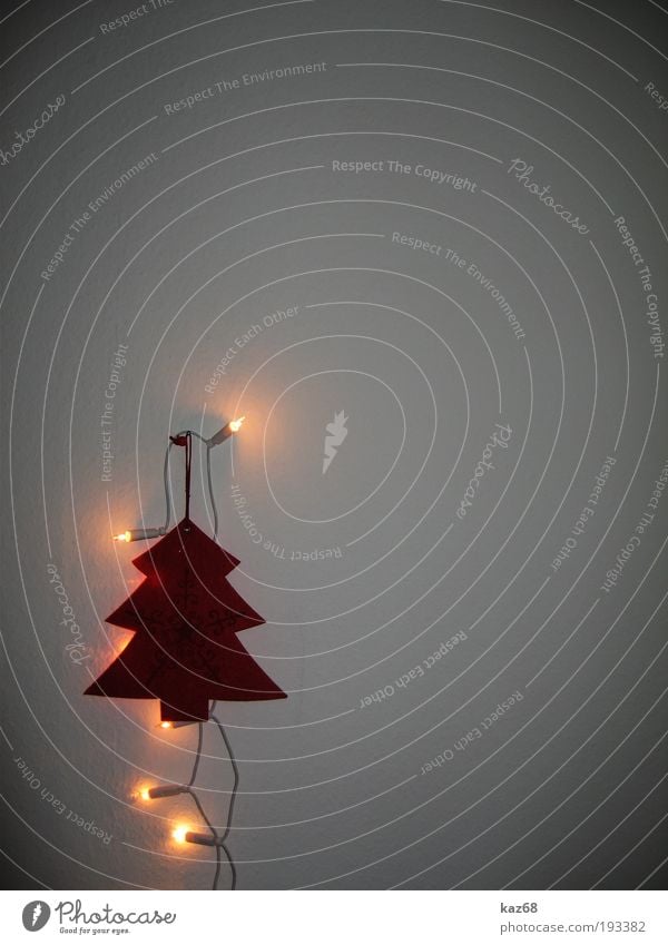 Alle Jahre wieder Tanne Baum Weihnachtsbaum Weihnachten & Advent Licht Dekoration & Verzierung rot Wand Feste & Feiern Dezember 24 Lichterkette festlich Lampe