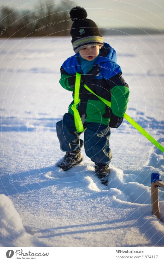 Schneevergnügen Spielen Mensch Kind Kleinkind Junge 1 1-3 Jahre Umwelt Natur Landschaft Winter Jacke Schal Handschuhe Mütze authentisch natürlich Bewegung