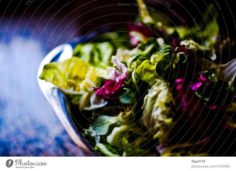 Salat Lebensmittel Salatbeilage Ernährung Vegetarische Ernährung Diät Schalen & Schüsseln frisch Gesundheit grün violett Leichtigkeit Farbfoto mehrfarbig