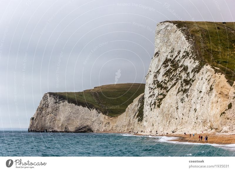 Cliffs at Durdle Door, Dorset Natur Küste Meer Felsvorsprung Klippe Sehenswürdigkeit Erholung gehen wandern groß blau grün weiß Fernweh Inspiration Farbfoto