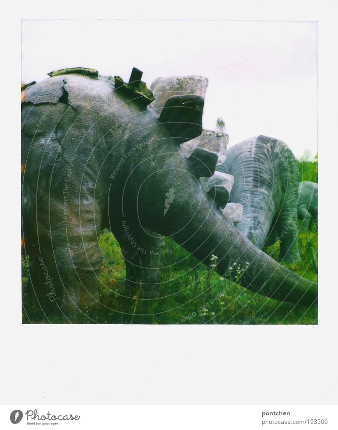Polaroid zeigt Hinterteile von Dinosaurierfiguren in einem geschlossenen Freizeitpark. Pleite Freizeit & Hobby Vergnügungspark Himmel Blume Gras Wiese Tier