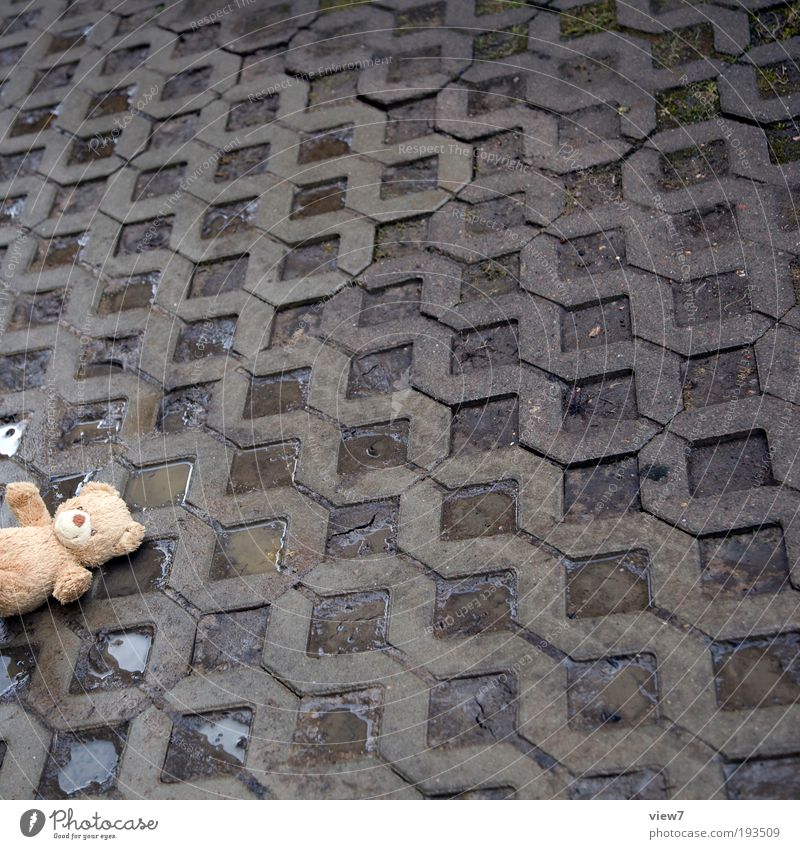 verloren. Verkehrswege Straße Wege & Pfade Spielzeug Teddybär Stofftiere Stein Beton Zeichen Linie Streifen Spielen Traurigkeit weinen bedrohlich dreckig