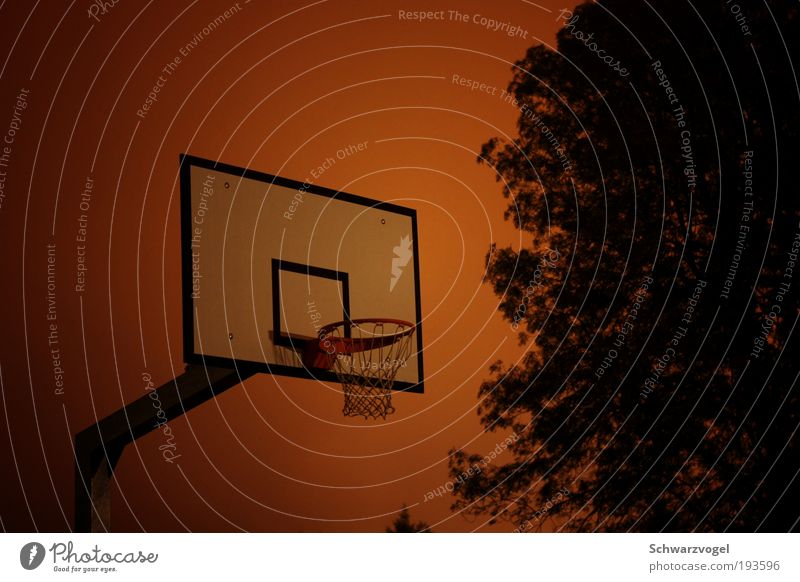 midnight rebound Freizeit & Hobby Spielen Sport Ballsport Basketball Basketballkorb Sportstätten Nachthimmel gebrauchen Bewegung fangen laufen Stimmung Freude