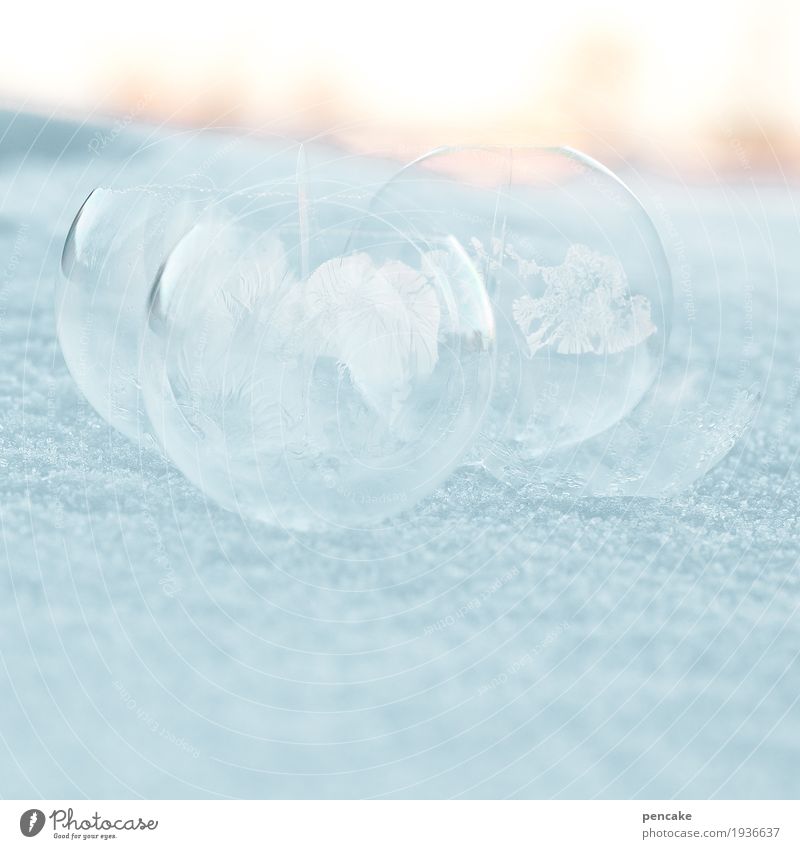 glück und glas Design Glück Spielen Landschaft Winter Eis Frost Schnee schön Seifenblase Eisblumen Schneelandschaft Glaskugel Globus gefroren zerbrechlich