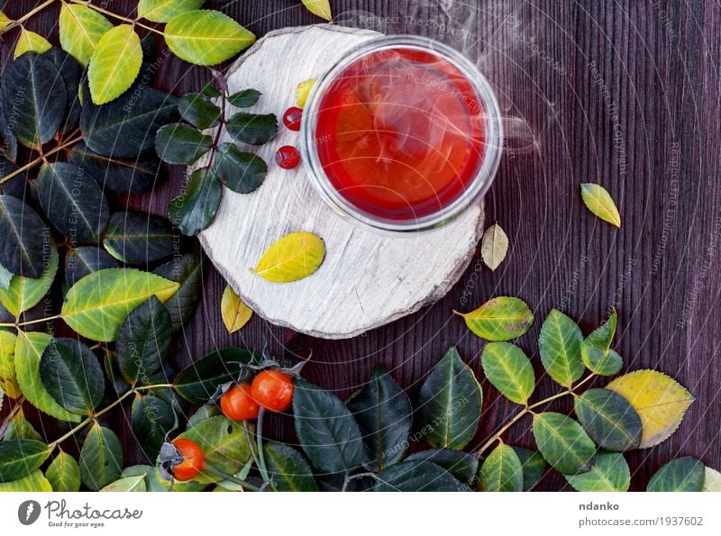 Tasse heißen Tee auf einer Holzoberfläche unter den Blättern Frucht Frühstück Vegetarische Ernährung Getränk Saft Becher Sommer Blatt Glas Essen frisch