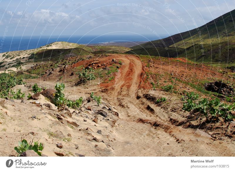 der Weg Ferien & Urlaub & Reisen Ferne Freiheit Meer Insel Natur Landschaft Hügel São Vicente Cabo Verde Afrika entdecken Spuren Horizont Schatten Sand Farbfoto