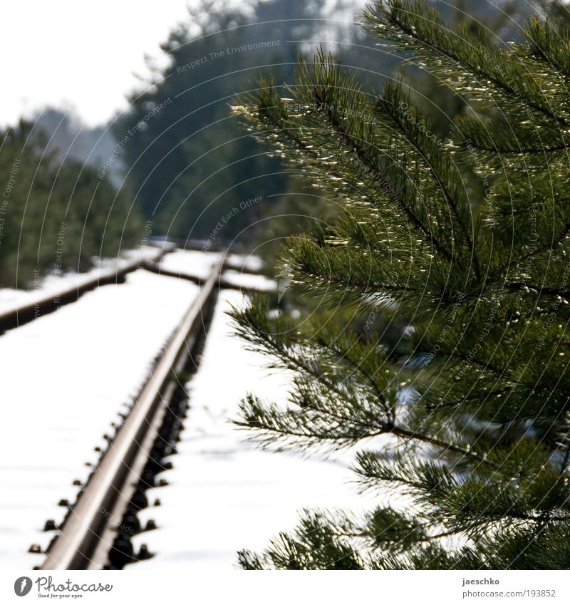 Nächster Halt: Wald. Fortschritt Zukunft Winter Schnee Baum Tanne Zweige u. Äste Schienenverkehr Gleise Weiche Neugier Hoffnung Idylle Klima nachhaltig