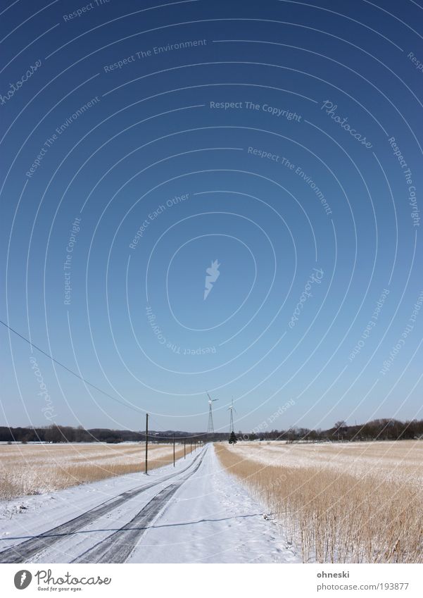 Oh, wie schön ist... Umwelt Natur Landschaft Pflanze Himmel Wolkenloser Himmel Horizont Klima Wetter Schönes Wetter Eis Frost Schnee Sträucher Feld blau Glück