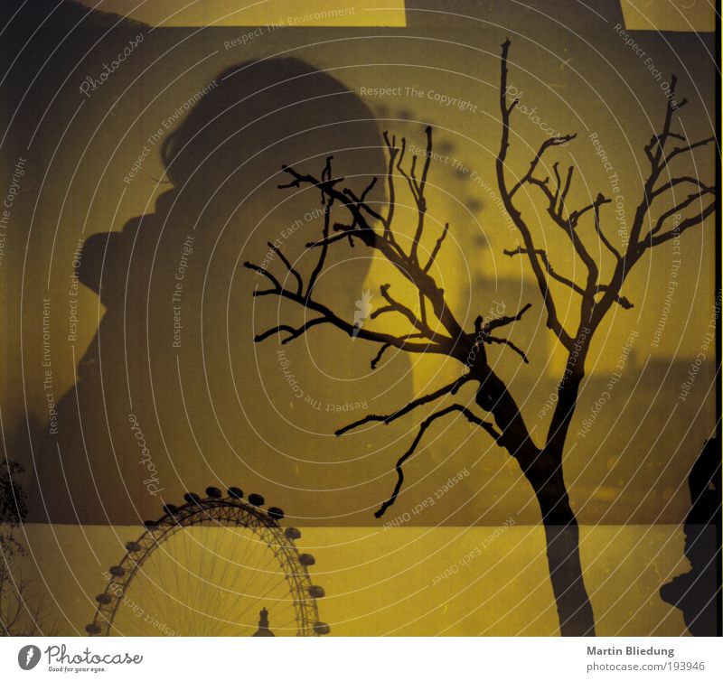doppel#2 Sightseeing Städtereise Leben 1 Mensch Herbst Baum London Hauptstadt London Eye Sehenswürdigkeit beobachten entdecken träumen warten außergewöhnlich
