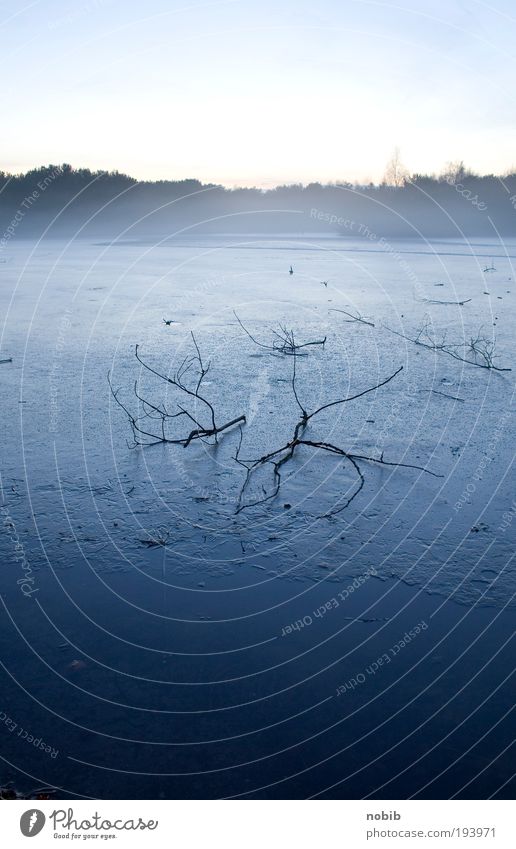 winternebel Ferne Winter Berge u. Gebirge Landschaft Wasser nur Himmel Horizont Nebel Eis Frost Baum Seeufer Moor Sumpf Holz dunkel gruselig kalt blau grau weiß