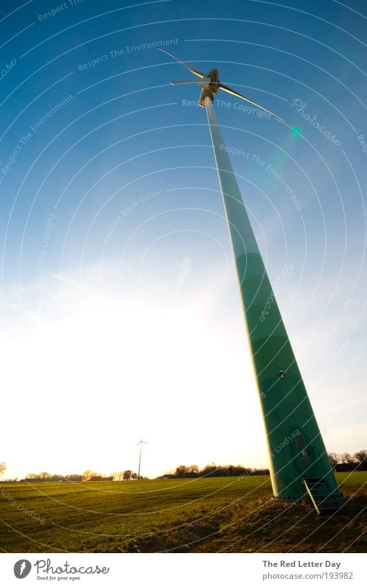 Waking giants. Umwelt Natur Landschaft Luft Horizont Sonnenaufgang Sonnenuntergang Wetter Schönes Wetter Wind Turm Kraft Umweltverschmutzung Umweltschutz