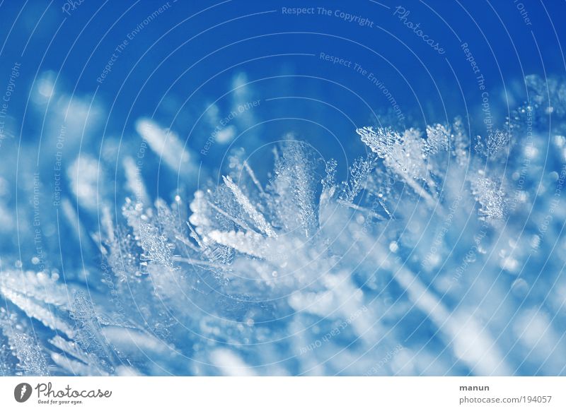 Gefiedert Design Erholung ruhig Winterurlaub Taufe Natur Wasser Eis Frost Schnee Coolness eckig fantastisch frisch kalt stachelig blau weiß schön ästhetisch