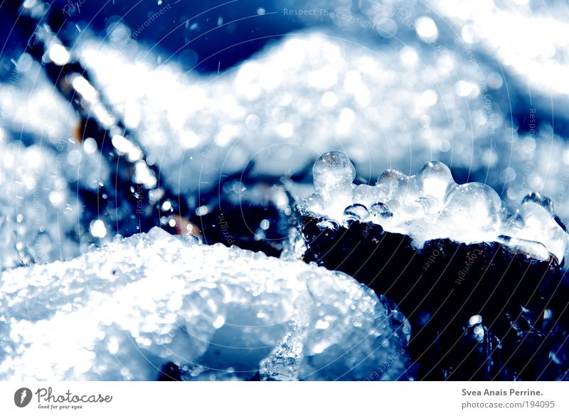 eisregen. Umwelt Natur Winter Regen Eis Frost Schnee glänzend außergewöhnlich Flüssigkeit kalt blau schwarz Stimmung Unschärfe Zweig Sonne Tropfen Wassertropfen