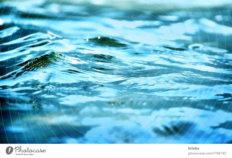 199 kleine Wellen Umwelt Natur Urelemente Wasser Klima Wind Seeufer kalt nass natürlich verrückt blau grün Strukturen & Formen Hintergrundbild Erholung Farbfoto