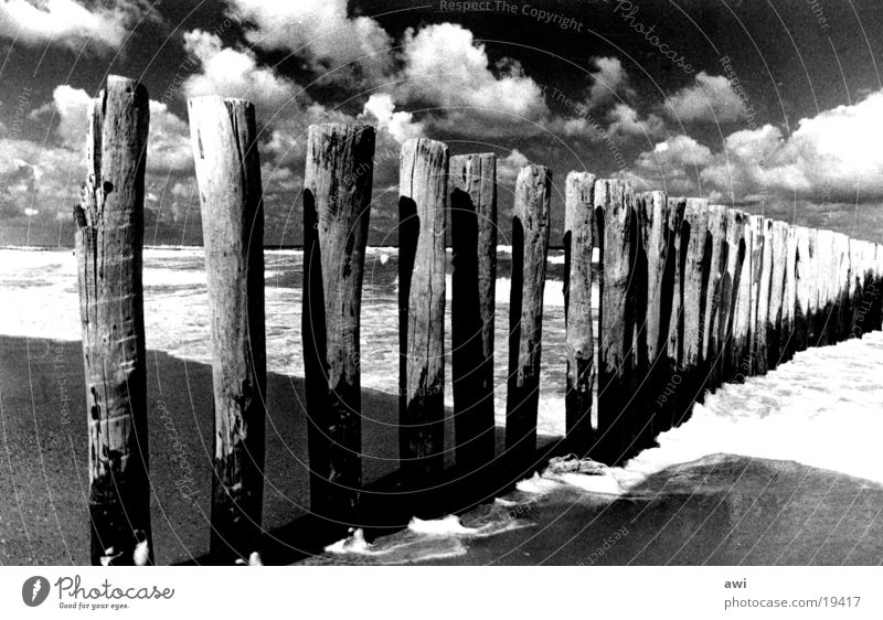 Wolken und Meer Strand Holz Niederlande Gischt See Buhne Himmel Kontrast Schwarzweißfoto Pfosten
