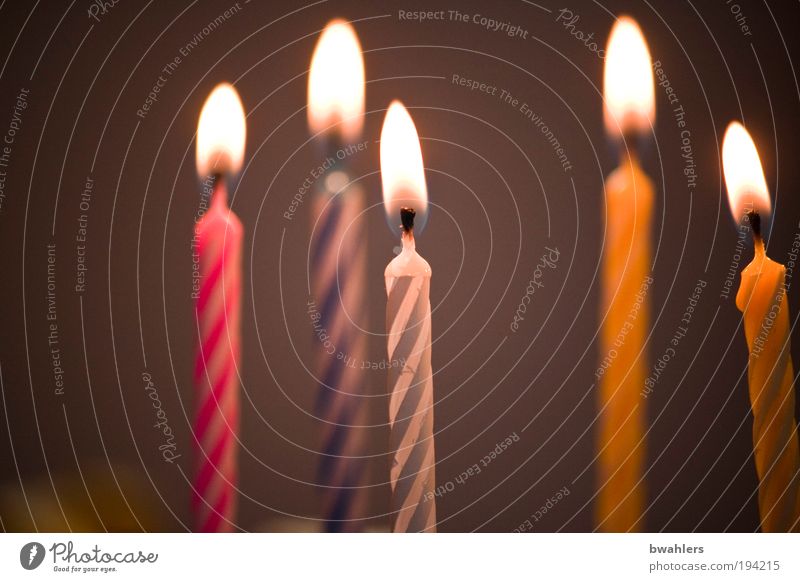 Geburtstag Feste & Feiern Dekoration & Verzierung Kerze genießen heiß hell mehrfarbig Freude Glück Fröhlichkeit Lebensfreude Überraschung Wunsch